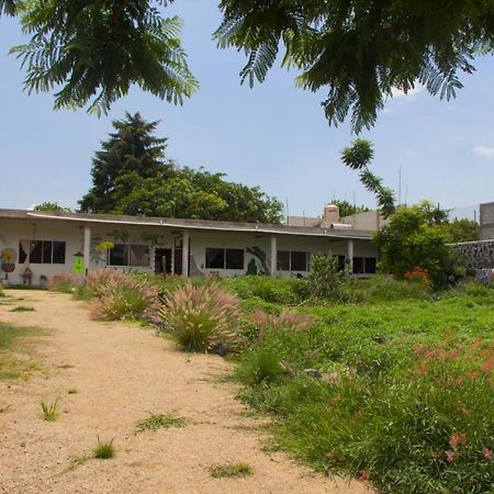 Casa De Huespedes Colmena Ξενοδοχείο Tlayacapan Εξωτερικό φωτογραφία